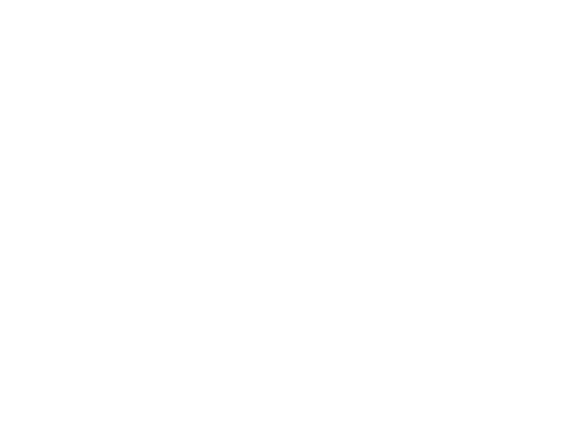 Zest Experience